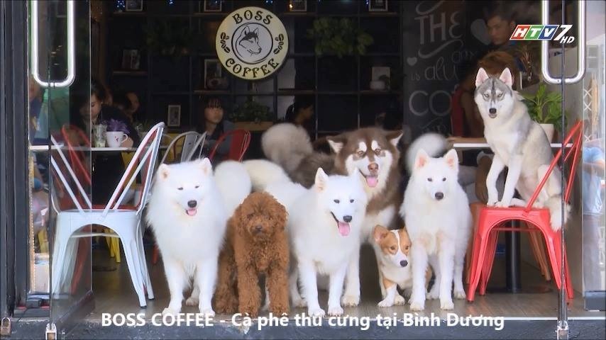 Dia Diem Binh Duong Boss Cafe (10)