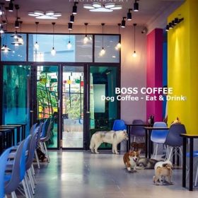 Dia Diem Binh Duong Boss Cafe (11)