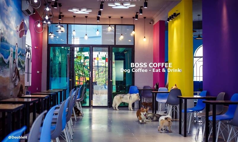 Dia Diem Binh Duong Boss Cafe (11)