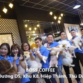 Dia Diem Binh Duong Boss Cafe (9)