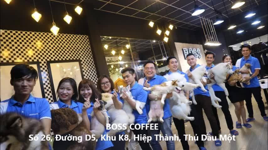 Dia Diem Binh Duong Boss Cafe (9)