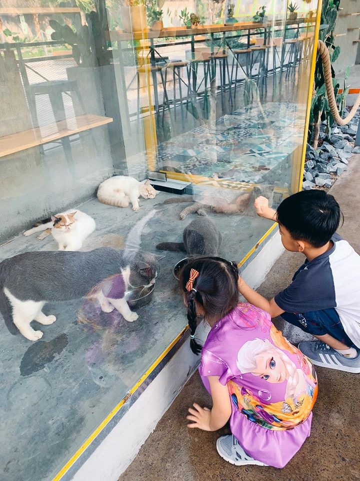 Royalland Pet Store Cafe Thu Cung Tai Binh Duong (4)