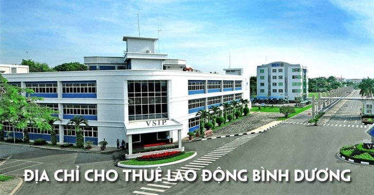 Cho Thue Lao Dong Binh Duong 2