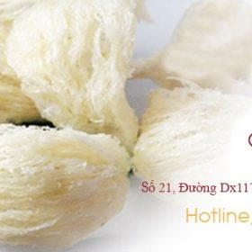 Anh Bia Yen Sao Binh Duong Vn