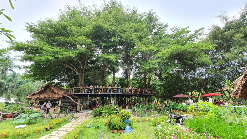 Dinh Hoa Garden